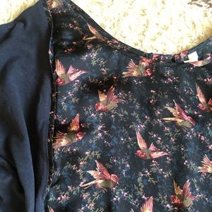 TINY sparrow top🦄